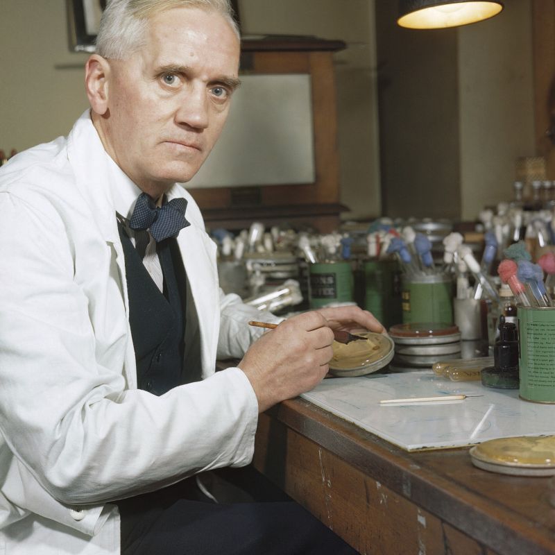 Alexander Fleming, titolare della cattedra di Batteriologia all’Università di Londra, che per primo scoprì la muffa Penicillium notatum, nel suo laboratorio al St Mary’s Hospital di Paddington, Londra (1943).