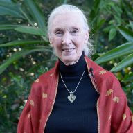 Jane Goodall e le ragioni per la speranza