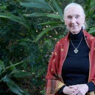 Jane Goodall e le ragioni per la speranza