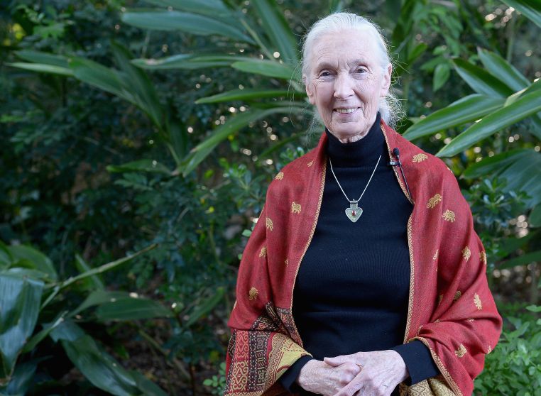 Jane Goodall e le ragioni per la speranza